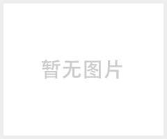汽车打标机